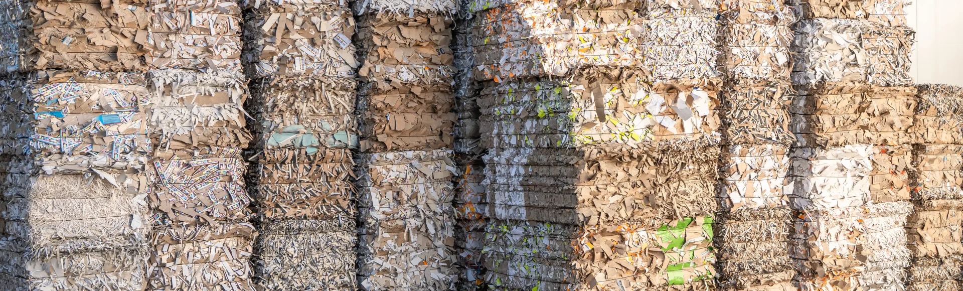 Cardboard Disposal & Paper Waste | Waste Initiatives