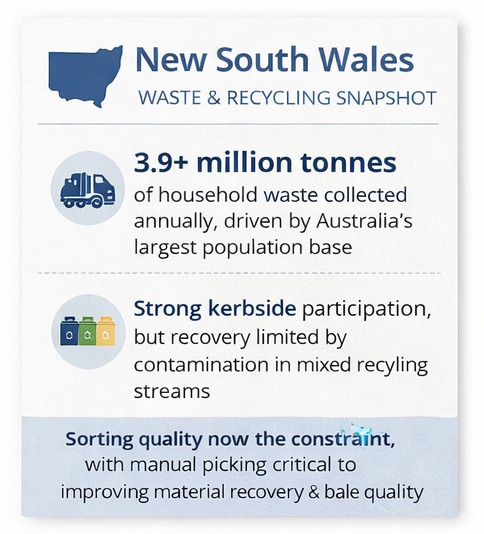 NSW Blog Article Infographic