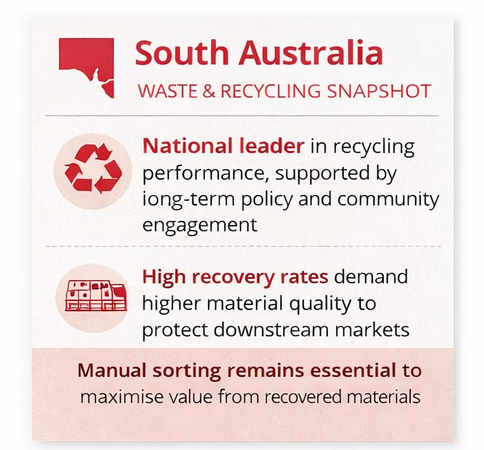 SA Blog Article Infographic